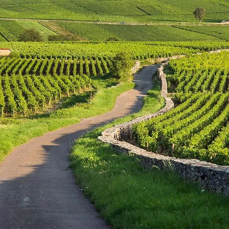 Collections - Proche Colmar - Eguisheim