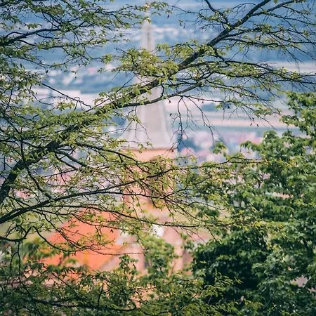 Collections - Proche Colmar - Eguisheim アパートホテル