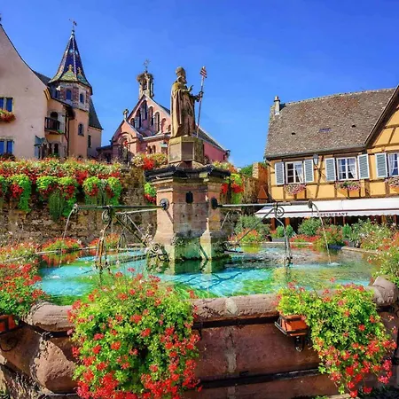 Collections - Proche Colmar - Eguisheim Aparthotel