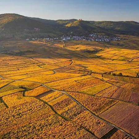 Collections - Proche Colmar - Eguisheim アパートホテル ユスラン・レ・シャトー