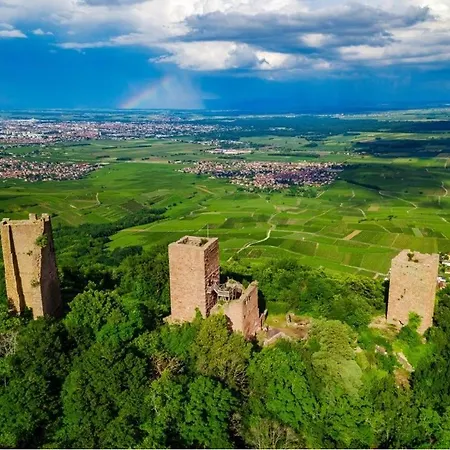 アパートホテル Collections - Proche Colmar - Eguisheim