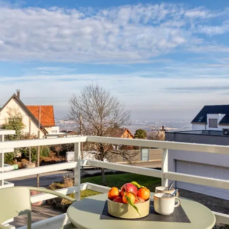 Aparthotel Collections - Proche Colmar - Eguisheim