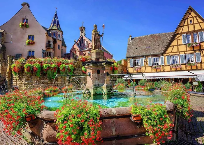 Collections - Proche Colmar - Eguisheim Apartahotel
