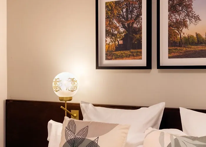 Apartahotel Collections - Proche Colmar - Eguisheim 4*
