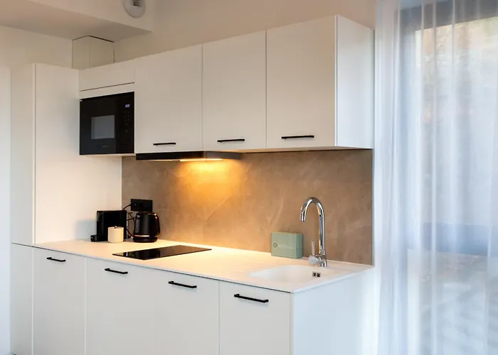 Apartahotel Collections - Proche Colmar - Eguisheim Husseren-les-Châteaux