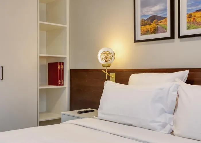 Apartahotel Collections - Proche Colmar - Eguisheim Husseren-les-Châteaux