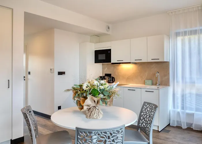 Apartahotel Collections - Proche Colmar - Eguisheim 4*