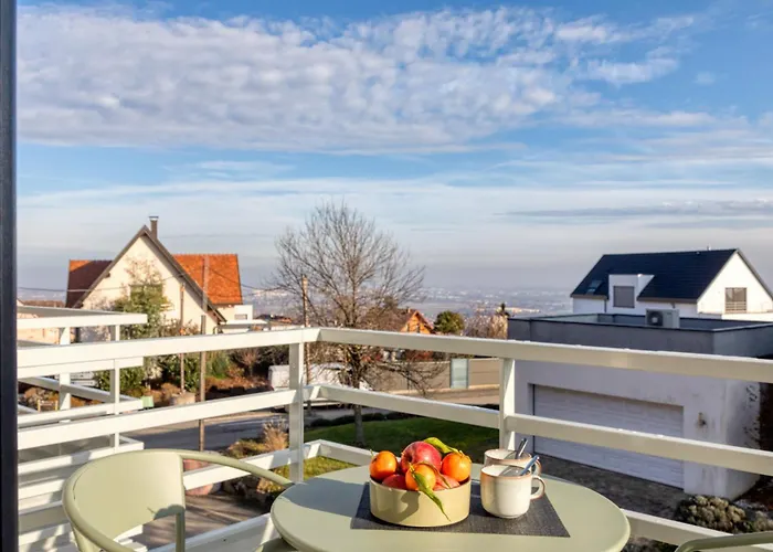 Apartahotel Collections - Proche Colmar - Eguisheim