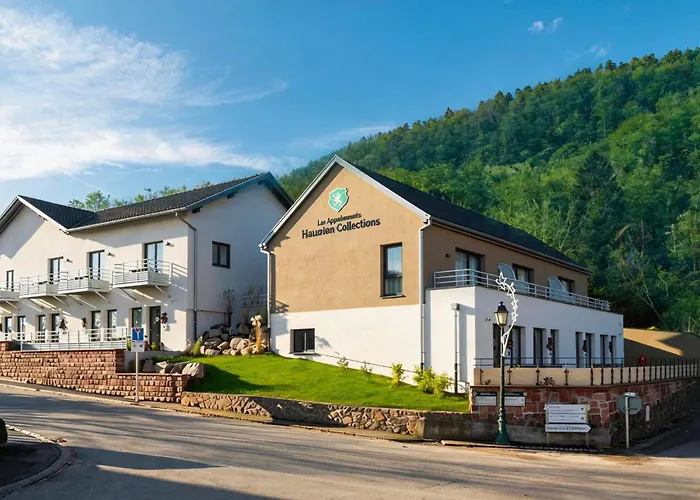 Collections - Proche Colmar - Eguisheim 4*